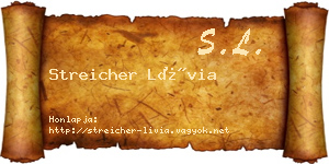 Streicher Lívia névjegykártya