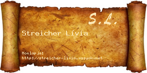 Streicher Lívia névjegykártya